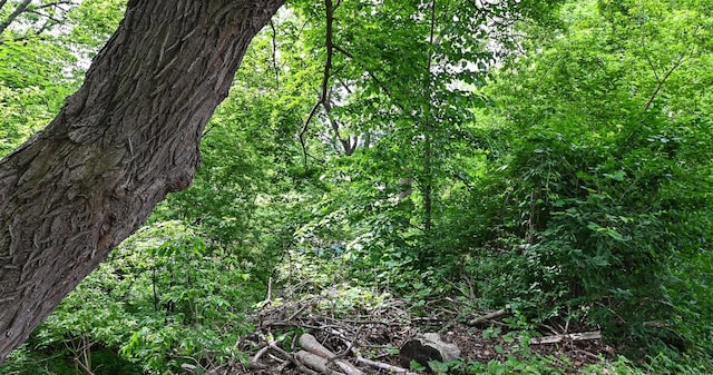 1721 Spring Pl, Racine, WI 53404 - view of tree filled area