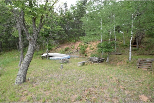3777 N Deer Lake Dr, Danbury, WI 54830 - view of yard with stairs