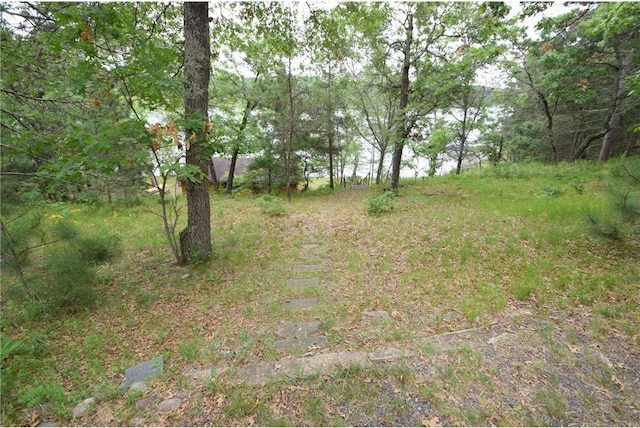 3777 N Deer Lake Dr, Danbury, WI 54830 - view of yard