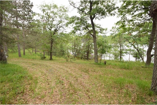 3777 N Deer Lake Dr, Danbury, WI 54830 - view of undeveloped land