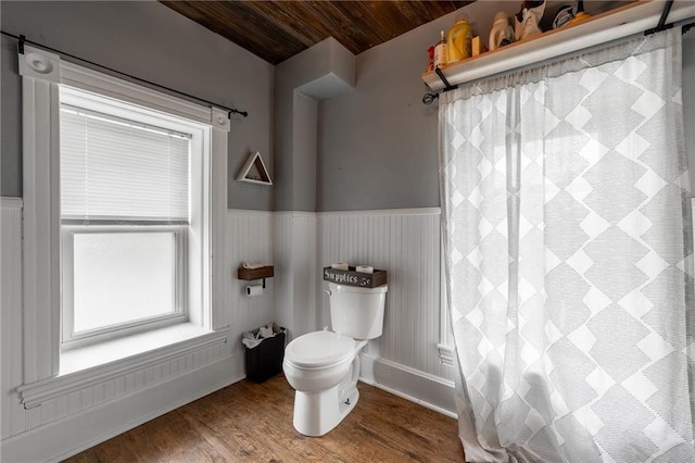508 Evergreen St, Colfax, WI 54730 - full bathroom featuring wooden ceiling, wood finished floors, a wainscoted wall, and a shower with shower curtain