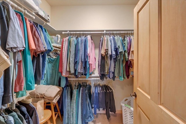 8201 Highview Dr, Madison, WI 53719 - view of spacious closet