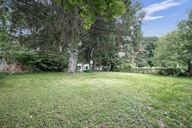 66 Torrey St, Clintonville, WI 54929 - view of green lawn