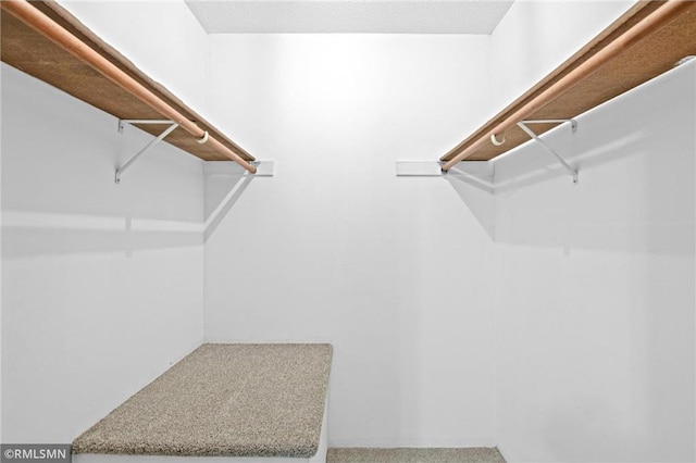 1754 Helena Rd, Oakdale, MN 55128 - view of spacious closet