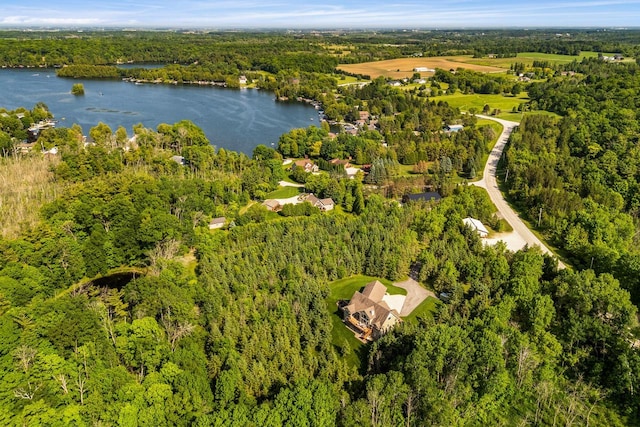 14595 Louis Corners Rd, Kiel, WI 53042 - aerial view of a heavily wooded area and a nearby body of water