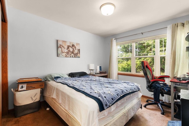 525 Hercules Trl, Madison, WI 53718 - bedroom with carpet floors and an office area