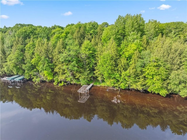 9926 W Birch Circle Dr, Ladysmith, WI 54848 - dock area with a water view and a wooded view