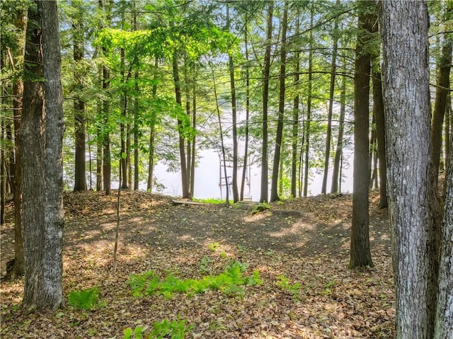 9926 W Birch Circle Dr, Ladysmith, WI 54848 - view of nature with a nearby body of water