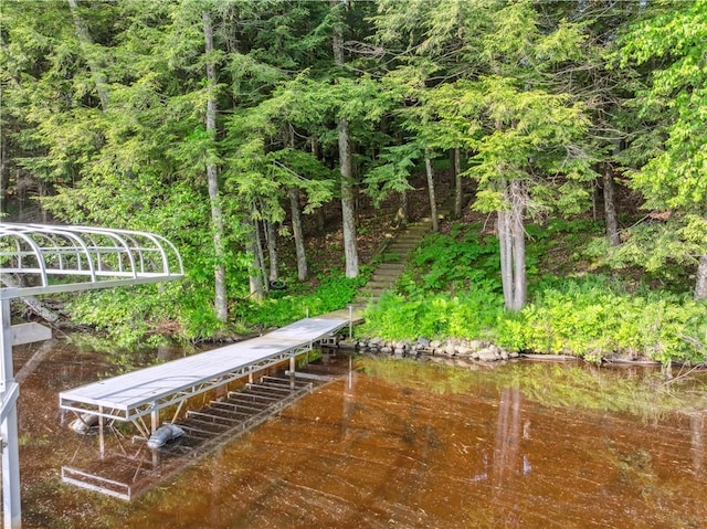9926 W Birch Circle Dr, Ladysmith, WI 54848 - view of community with a boat dock