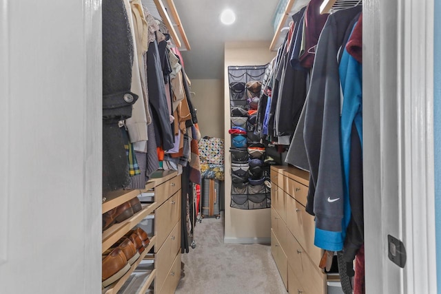4140 W Lakeview Dr, Franklin, WI 53132 - walk in closet with light carpet