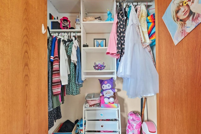 4140 W Lakeview Dr, Franklin, WI 53132 - view of closet