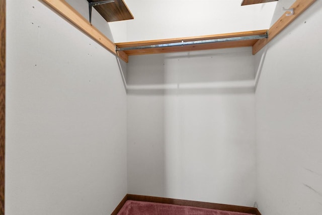 6352 Black Wolf Point Ln, Oshkosh, WI 54902 - walk in closet featuring a skylight and carpet floors
