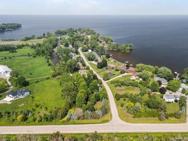 6352 Black Wolf Point Ln, Oshkosh, WI 54902 - bird's eye view of a large body of water