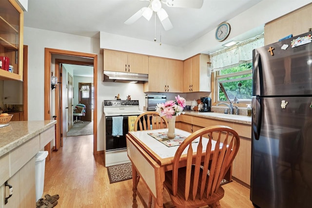 38 Bowen St, Oshkosh, WI 54901 - kitchen with freestanding refrigerator, white range with electric stovetop, under cabinet range hood, light countertops, and light brown cabinetry