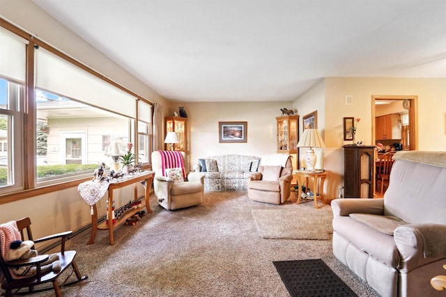 38 Bowen St, Oshkosh, WI 54901 - view of carpeted living area