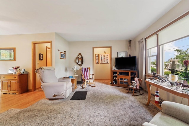 38 Bowen St, Oshkosh, WI 54901 - living area with light wood-type flooring