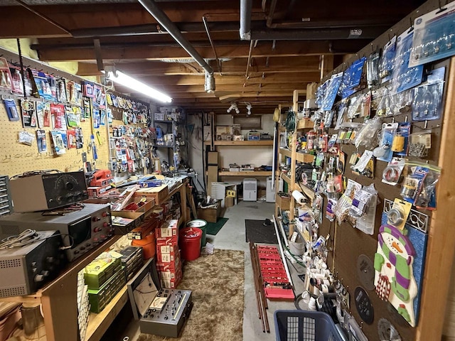 317 Reed St, Chilton, WI 53014 - view of storage