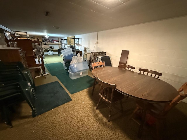 317 Reed St, Chilton, WI 53014 - finished basement with carpet floors and concrete block wall