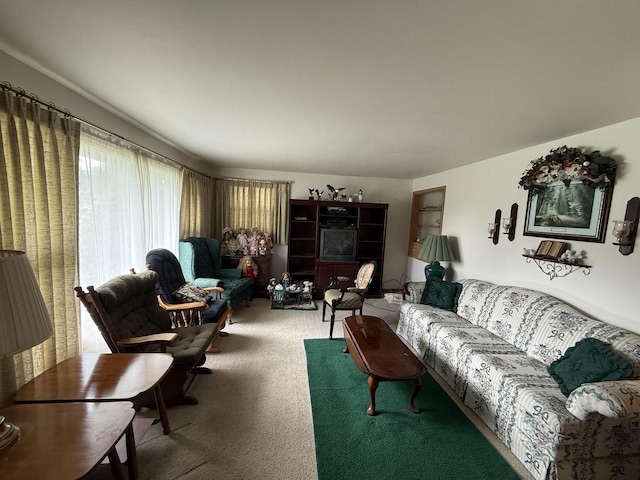 317 Reed St, Chilton, WI 53014 - living room with carpet floors