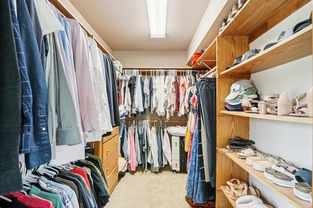 W151N10146 W Windsong Cir, Germantown, WI 53022 - walk in closet with carpet floors