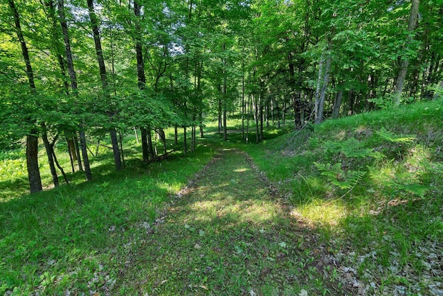 N14066 Squaw Creek Rd, Wausaukee, WI 54177 - view of tree filled area