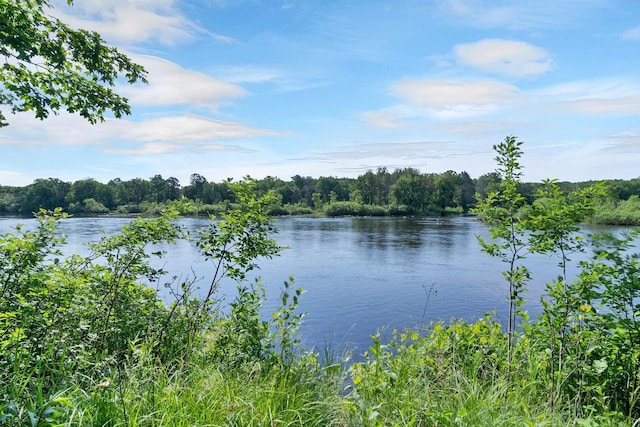 N14066 Squaw Creek Rd, Wausaukee, WI 54177 - water view with a forest