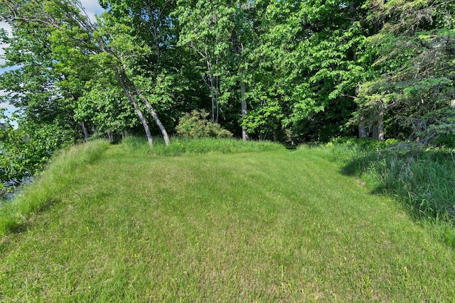 N14066 Squaw Creek Rd, Wausaukee, WI 54177 - view of yard