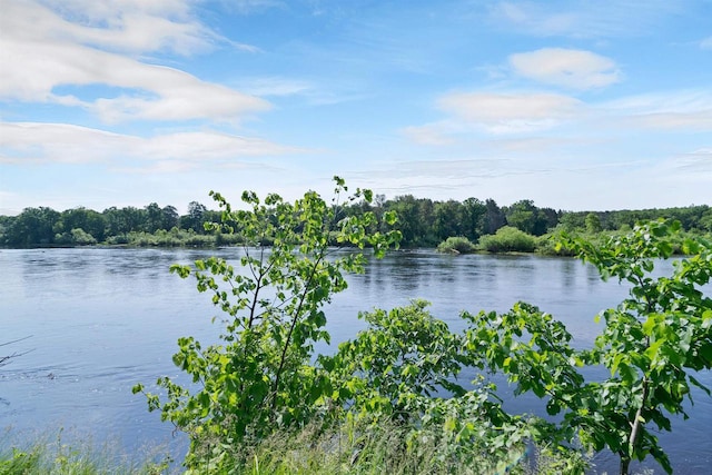 N14066 Squaw Creek Rd, Wausaukee, WI 54177 - water view featuring a heavily wooded area