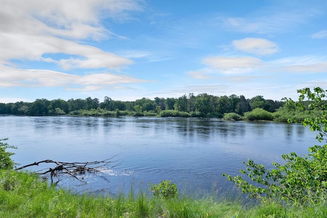 N14066 Squaw Creek Rd, Wausaukee, WI 54177 - water view featuring a forest
