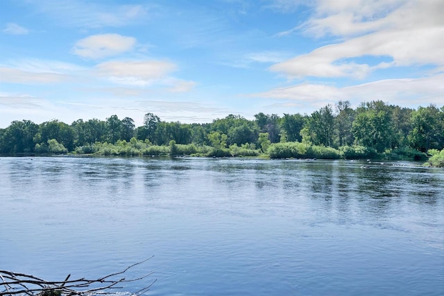 N14066 Squaw Creek Rd, Wausaukee, WI 54177 - water view with a heavily wooded area