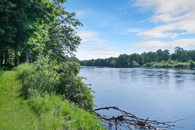 N14066 Squaw Creek Rd, Wausaukee, WI 54177 - water view featuring a forest