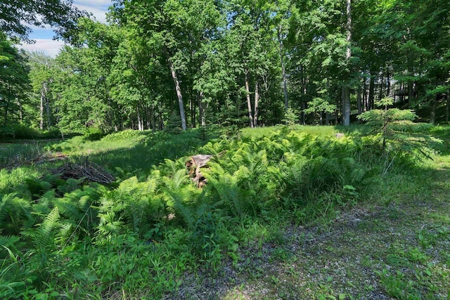 N14066 Squaw Creek Rd, Wausaukee, WI 54177 - view of wooded area