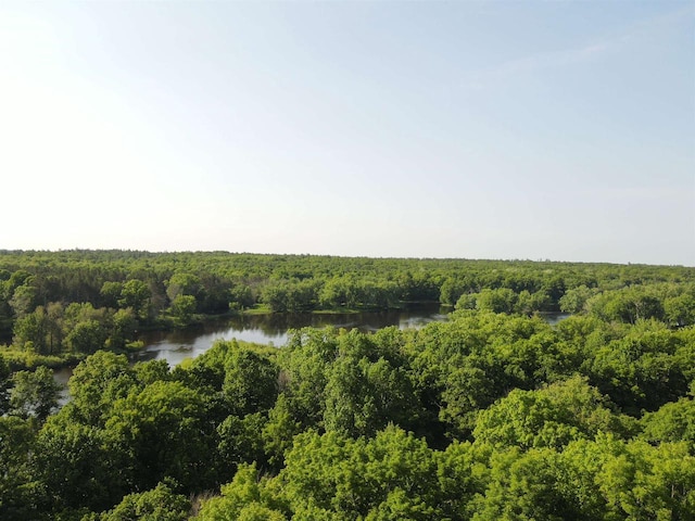 N14066 Squaw Creek Rd, Wausaukee, WI 54177 - bird's eye view of a forest and a large body of water