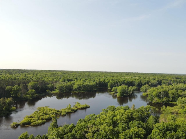 N14066 Squaw Creek Rd, Wausaukee, WI 54177 - water view with a forest