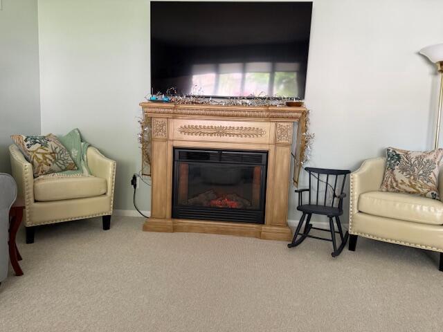 4005 86th Pl, Kenosha, WI 53142 - sitting room featuring a glass covered fireplace and carpet floors