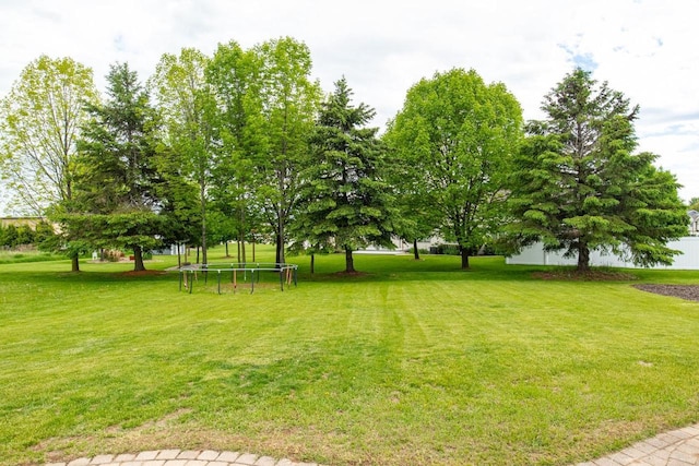 217 Lemongrass Way, Kaukauna, WI 54130 - view of grassy yard with a trampoline