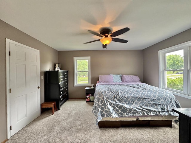 501 Hartridge Dr, Hartland, WI 53029 - bedroom with carpet flooring and a ceiling fan