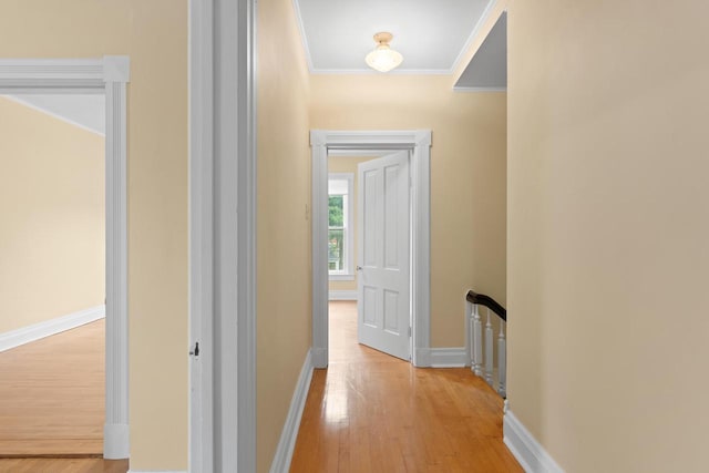 204 E Huron St, Berlin, WI 54923 - hallway featuring light wood-style flooring, ornamental molding, and an upstairs landing