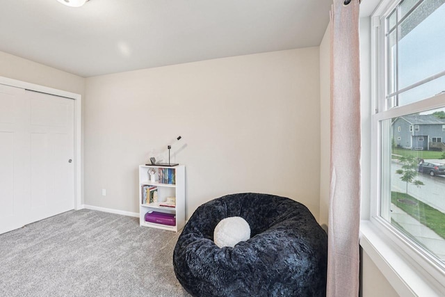 6017 Lyda Woods Ln, Madison, WI 53718 - sitting room featuring carpet and baseboards