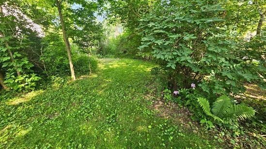 7008 N Rockledge Ave, Glendale, WI 53209 - view of local wilderness