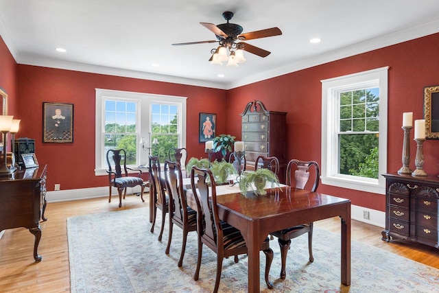 730 3rd St S, Wisconsin Rapids, WI 54494 - dining room featuring light wood-type flooring, crown molding, ceiling fan, and recessed lighting
