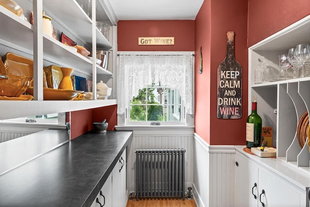 730 3rd St S, Wisconsin Rapids, WI 54494 - pantry featuring radiator