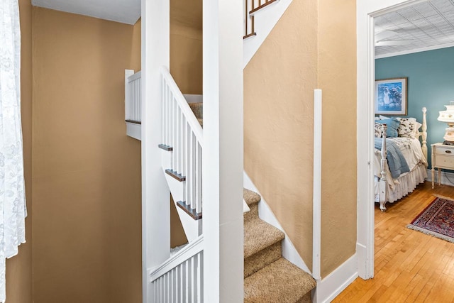 730 3rd St S, Wisconsin Rapids, WI 54494 - stairway with hardwood / wood-style flooring and baseboards
