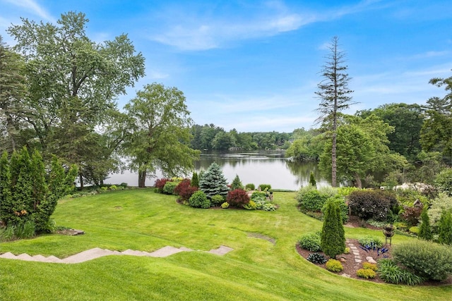 730 3rd St S, Wisconsin Rapids, WI 54494 - view of green lawn with a water view