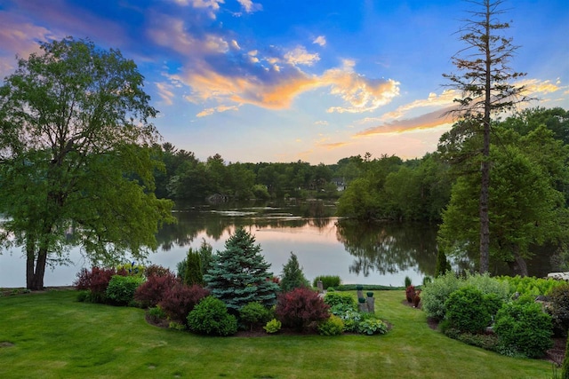 730 3rd St S, Wisconsin Rapids, WI 54494 - water view featuring a heavily wooded area
