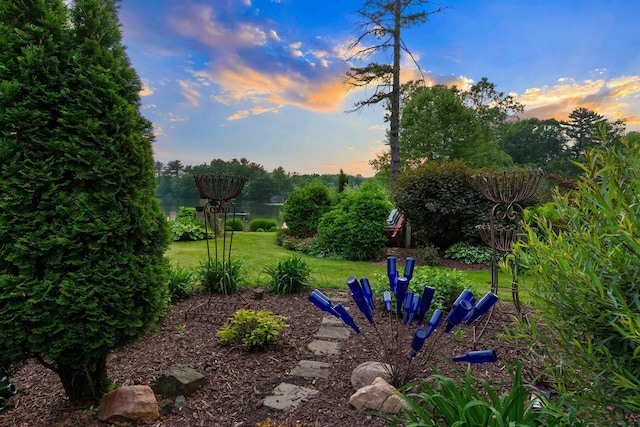 730 3rd St S, Wisconsin Rapids, WI 54494 - view of green lawn