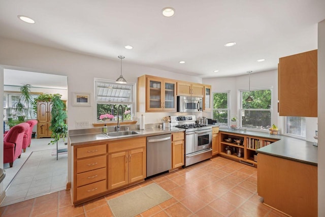 5961 N Lake Dr, Whitefish Bay, WI 53217 - kitchen with appliances with stainless steel finishes, plenty of natural light, decorative light fixtures, recessed lighting, and glass insert cabinets