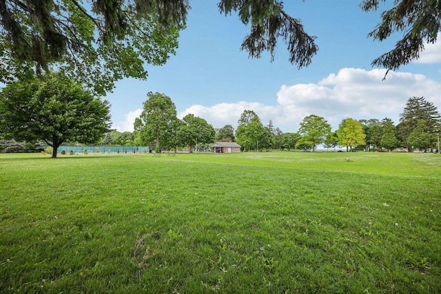 5961 N Lake Dr, Whitefish Bay, WI 53217 - view of grassy yard