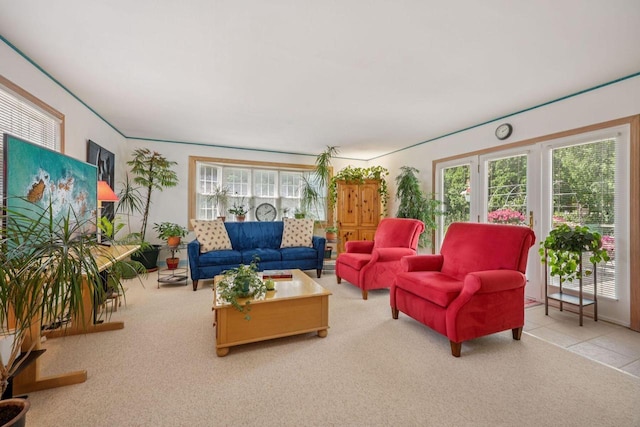 5961 N Lake Dr, Whitefish Bay, WI 53217 - view of carpeted living area