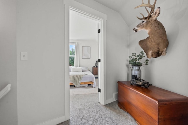 N6965 Thede Rd, Black Creek, WI 54106 - hall featuring carpet flooring and lofted ceiling